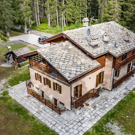 Wildhomes Wild Wolf Apartamento