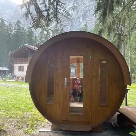 Wildhomes Wild Wolf *