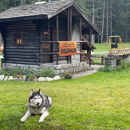 Appartement Wildhomes Wild Wolf *