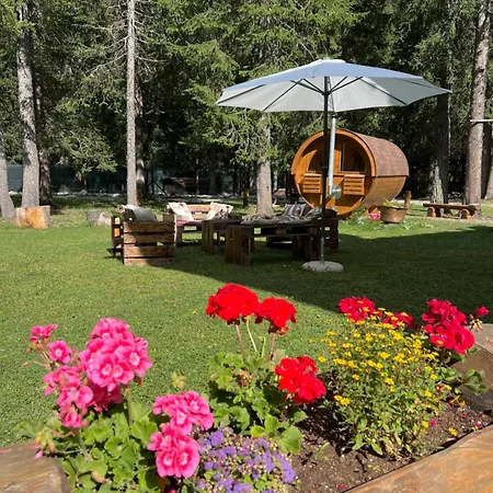 Appartement Wildhomes Wild Wolf *
