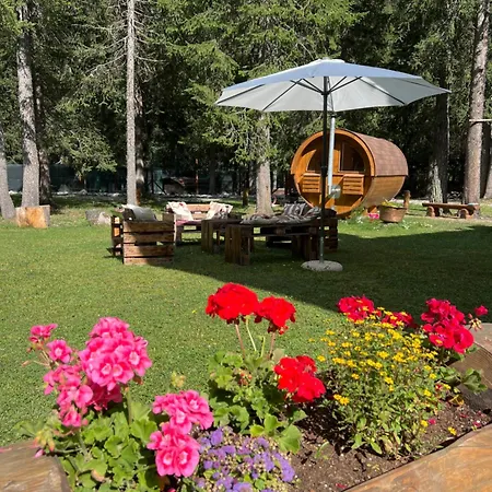 Appartamento Wildhomes Wild Wolf *
